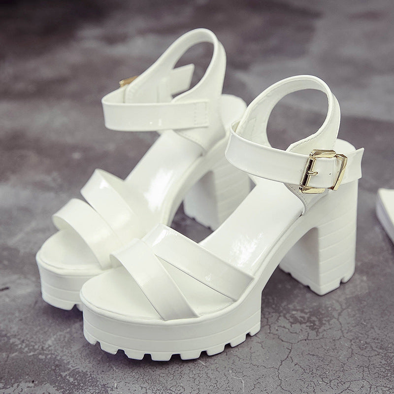 Luvéra Stil Wasserdichte Plattform High Heel Frauen Schuhe